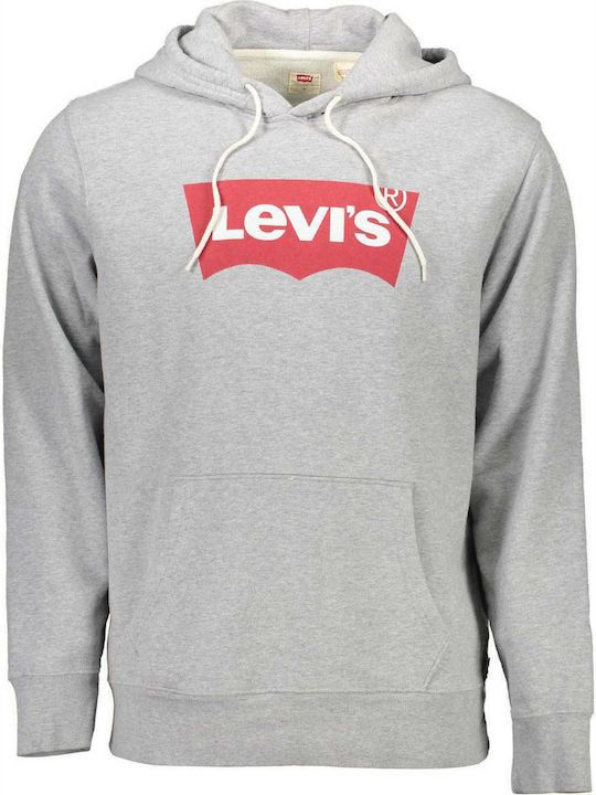 Graphic Sweatshirt with Hood Gray