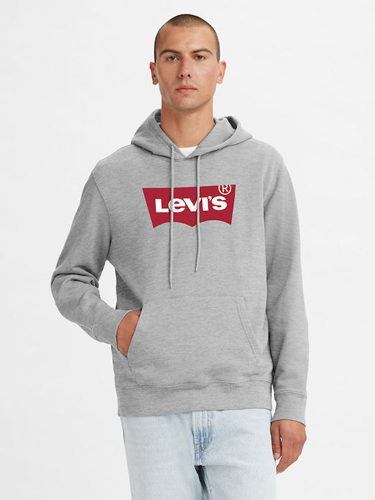 Graphic Sweatshirt with Hood Gray