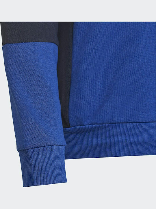Kinder-Sweatshirt mit Kapuze Mehrfarbig Colorblock