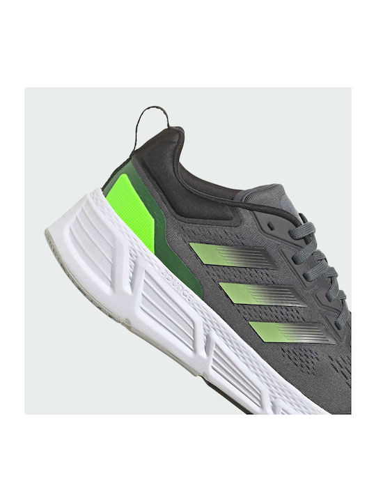 Questar Herren Sportschuhe Laufen Grey Five / Solar Green / Core Black