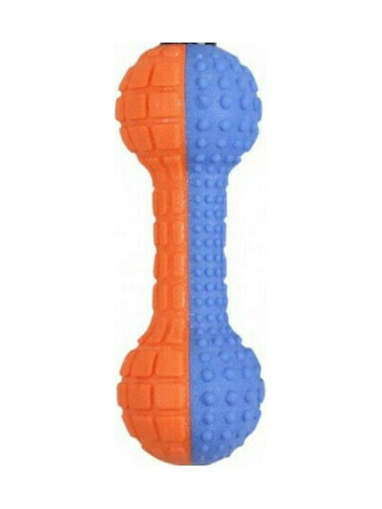Pawise Squeaky Foam Dumbell Παιχνίδι Κόκκαλο από Καουτσούκ Small 40εκ. Μπλε Pawise Squeaky Foam Dumbell Παιχνίδι Κόκκαλο από Καουτσούκ Small 40εκ. Μπλε