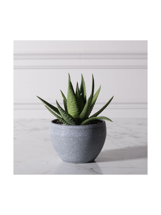 Supergreens Plantă Artificială în Ghiveci Mic Aloe Green 14cm 1buc