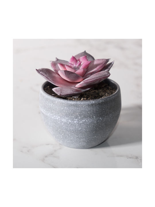 Supergreens Artificial Plant in Small Pot Succulent Plant Purple 9cm