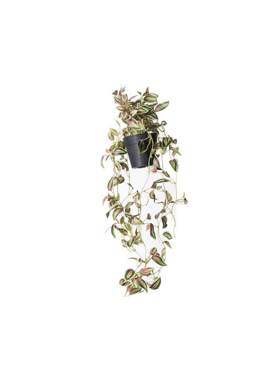 Πόθος σε Γλάστρα 72cm Supergreens