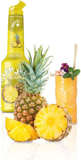 Mixer Püree für Cocktails mit Geschmack von Ananas 1000ml