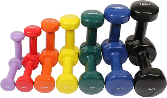 Power Force Βινυλίου Βαράκι Βινυλίου 1 x 4.0kg