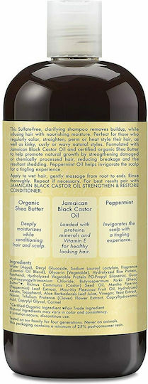 Shea Moisture Jamaican Black Castor Oil Σαμπουάν κατά της Ξηροδερμίας για Όλους τους Τύπους Μαλλιών 384ml