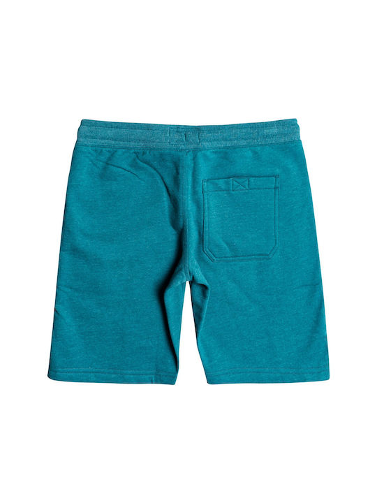 Billabong Kids Shorts/Bermuda Fabric Turquoise