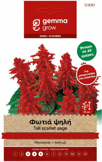 Gemma Seeds Fireς 0.3gr/90pcs Red