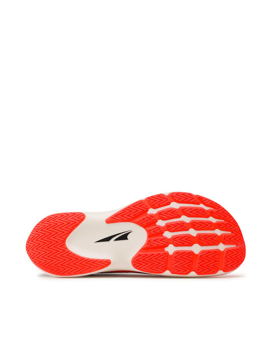 Vanish Carbon Sport Shoes Running Red