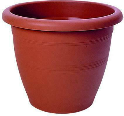 Cyclops Pot Plastic Terracotta Cyclops Pot Plastic Terracotta