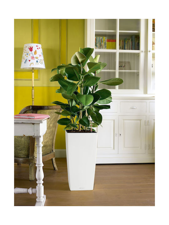 Lechuza Cubico Self-watering Pot Plastic 30x30x56cm.