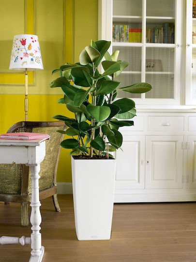 Lechuza Cubico Self-watering Pot Plastic 30x30x56cm.