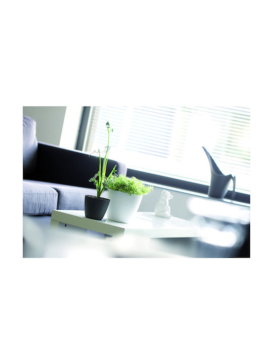 Prosperplast Splofy Planter Plastic Brown 18.7x18.7x15.8cm.