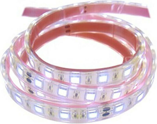 Αδιάβροχη Ταινία LED 12V Ψυχρό Λευκό Φως 1m Τύπου SMD5050