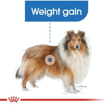 Royal Canin Maxi Light Weight Care 12kg Hrană Uscată Dietă pentru Câini Adulți de Rase Mari cu Porumb și Păsări de curte