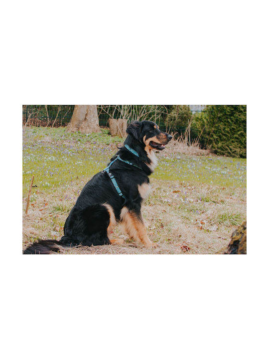 Max & Molly Dog Harness Max Molly Retro Blue Blue Small 15mm x 41-52cm ΜΜ01156