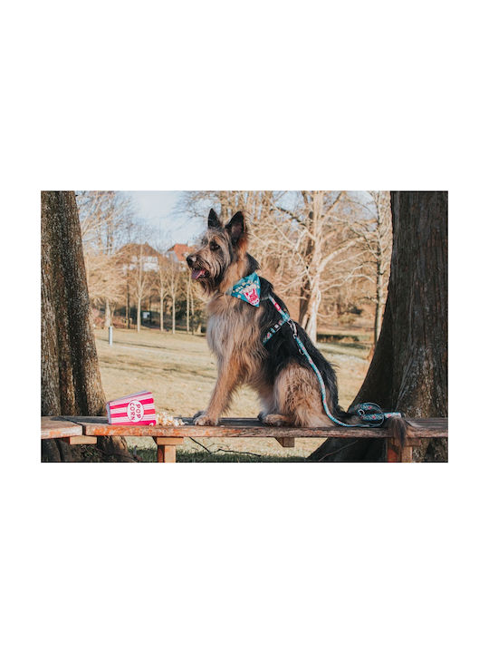 Max & Molly Нагръдник за куче Popcorn Small 15мм x 41-52см MM01173