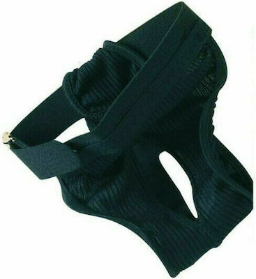 Pet Camelot Protective Pants Hundewindeln 34-40 cm XS 34cm 1Stück