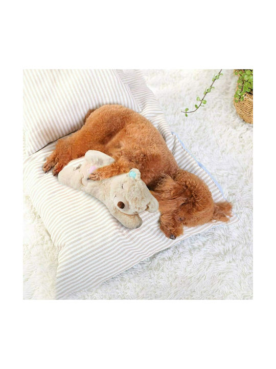 All For Paws Little Buddy Warm Bear Plush Toy for Puppy Small 38εκ. 1pcs