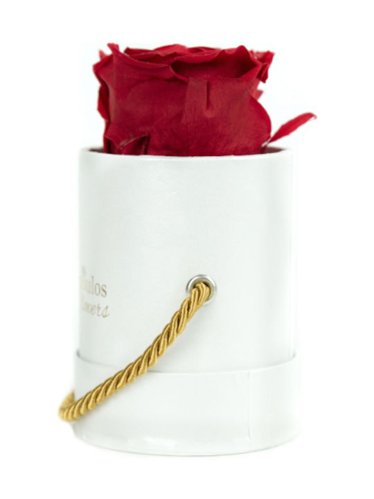 Eternal Rose Red in Box Aleiferopoulos Flowers