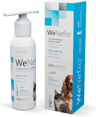 Wepharm Wenefro Paste for Dogs and Cats Πάστα για Νεφρικές Παθήσεις 100ml