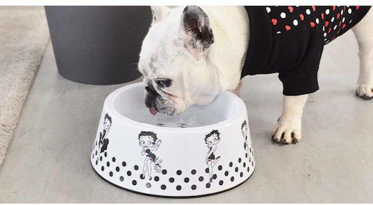 Dashi Betty Boop Schalen Futter & Wasser für Hund & Katze 1.7lt 26cm in Weiß Farbe