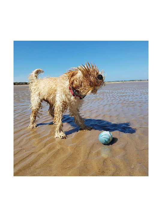 Doggy Village Interactive Balloon Топка Игра Куче Син 1бр