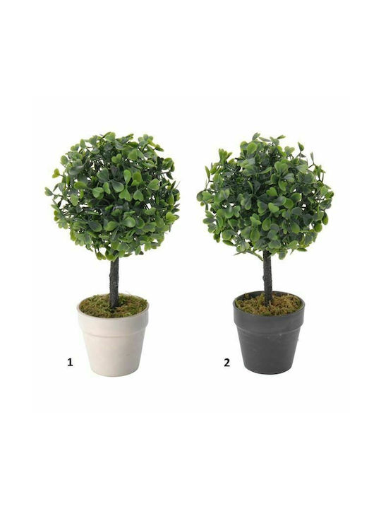 Plantă Artificială în Ghiveci Mic Buxus (Box comun) White 22cm 1buc