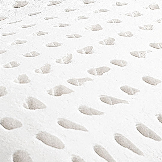 Vesta Home Standard Perna Pat Latex Anatomic 50x70x15cm