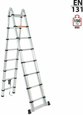 Vesta Telescopic Ladder Aluminum 16 of Steps with Maximum Height 5m DLT708B