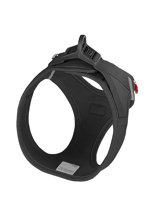 Curli Γιλέκο Clasp Air-Mesh Μαύρο Medium 43-49cm