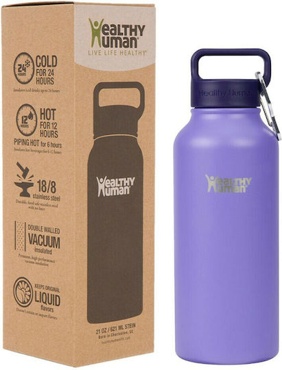 Healthy Human Stein Bottle Recyclable Bottle Thermos Stainless Steel BPA Free 946ml Purple with Straw