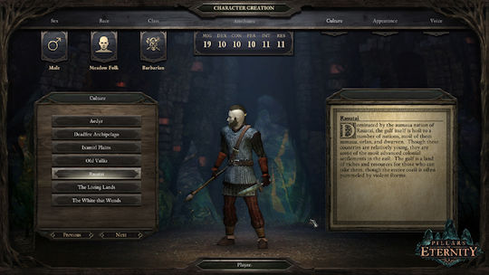 Pillars of Eternity Hero Edition (Key) PC Game