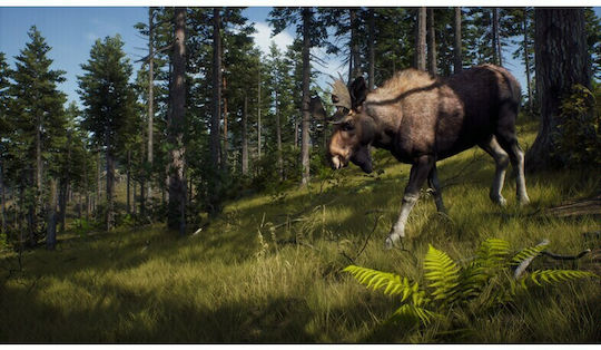 Way of the Hunter Xbox Series X Game