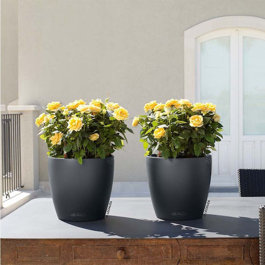 Lechuza Classico Auto-udare Ghiveci Plastic Slate 27.5x27.5x26cm.