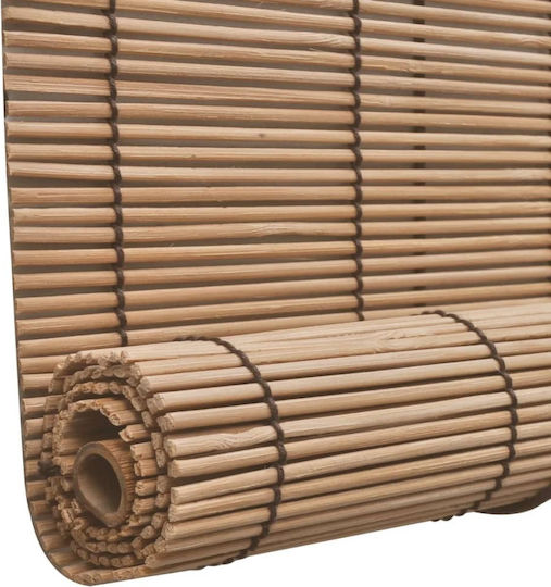 vidaXL Stor de Umbrire Bambus Cafea L100xH160buc