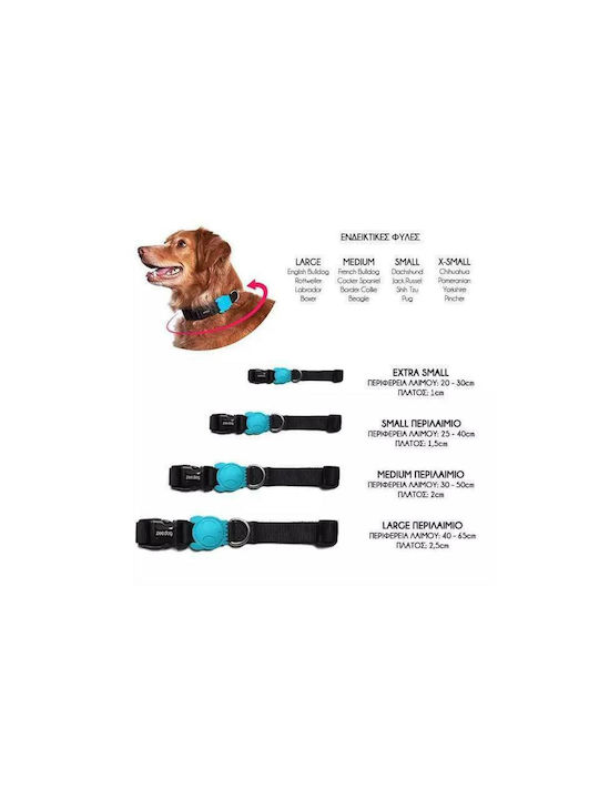 Zee-Dog Honey Κολάρο Σκύλου Small 15mm x 31 - 43cm