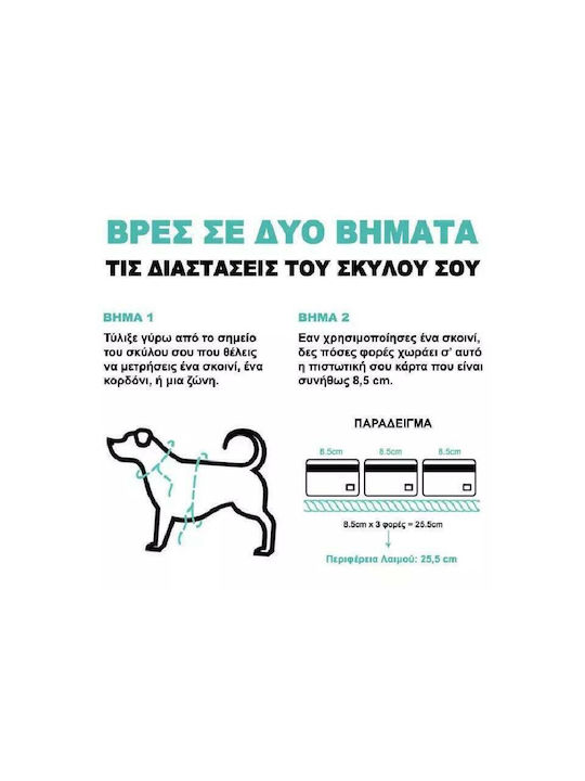 Zee-Dog Honey Κολάρο Σκύλου Medium 20mm x 37 - 53cm
