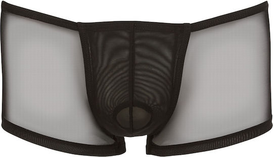 Svenjoyment Underwear Mesh Transparent Push-Up Pants Black