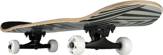 Black Dragon Prism Blox MLT Complete Shortboard 7.87" Multicolour