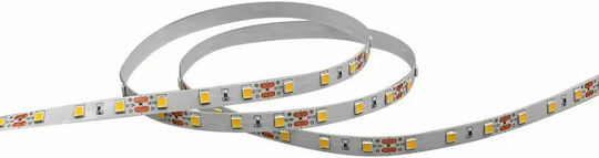 V-TAC Ταινία LED 12V Θερμό Λευκό Φως 1m