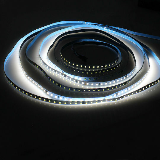 GlobalExpress LED Strip 24V Cold White Light 5m Type SMD3528