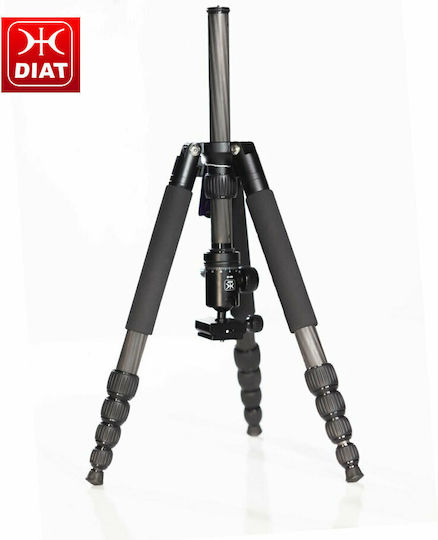 Diat Diat Carbon Monopied