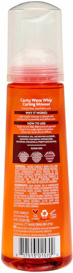 Cantu Shea Butter for Natural Hair Hair Foam for Curls 248ml