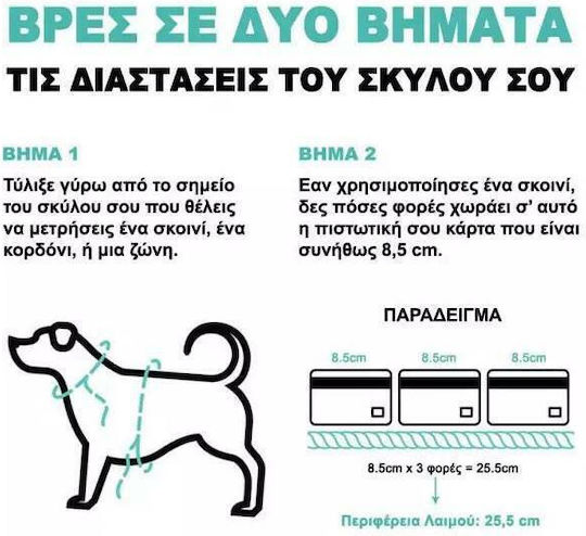 Zee-Dog Λουρί/Οδηγός Σκύλου Ιμάντας Ruff Cinnamon Small σε Ροζ χρώμα 1.2m x 2cm