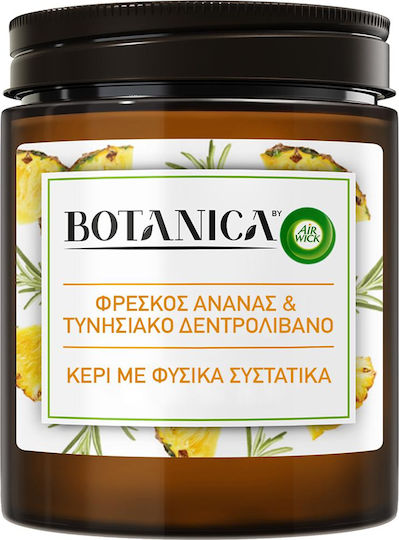 Airwick Botanica Αρωματικό σε Βάζο Ανανάς & Τυνησιακό Δεντρολίβανο Airwick Botanica Αρωματικό σε Βάζο Ανανάς & Τυνησιακό Δεντρολίβανο