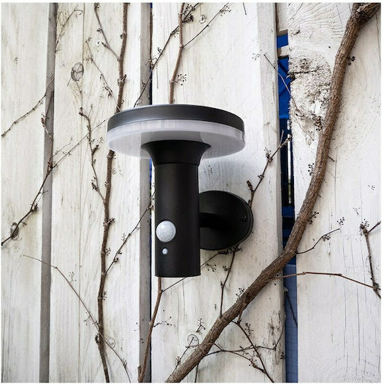 Xanlite Wall Mounted Solar Light 75lm with Natural White Light 4000K IP44