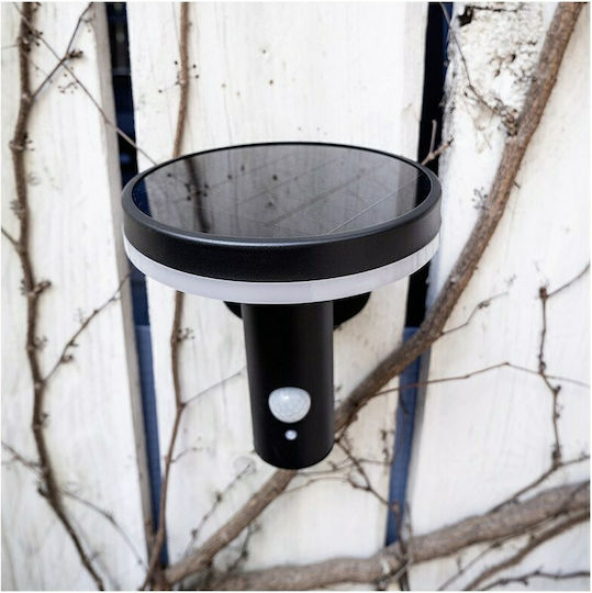 Xanlite Wall Mounted Solar Light 75lm with Natural White Light 4000K IP44