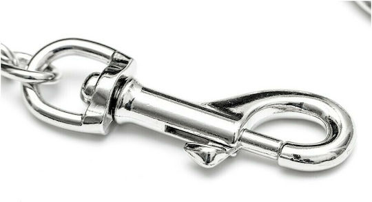 Gloriapets Dog Leash/Lead Chain CR01992 in Silver color 0.25m x 0.3cm